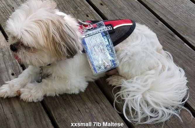Service Dog Vest product image 8