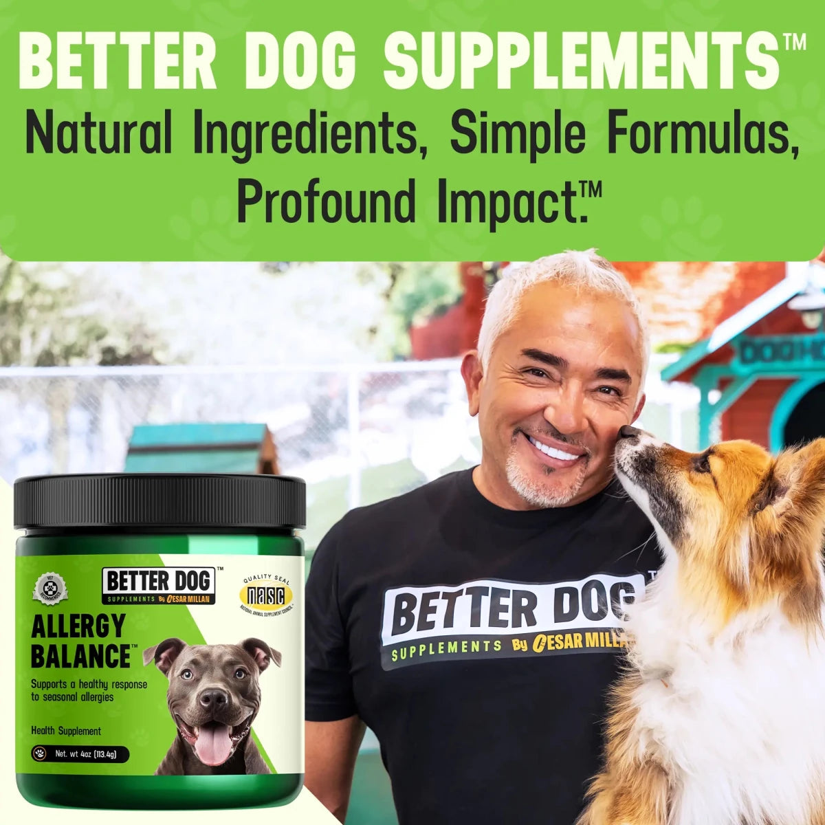 Dog Allergy Supplement product image 8