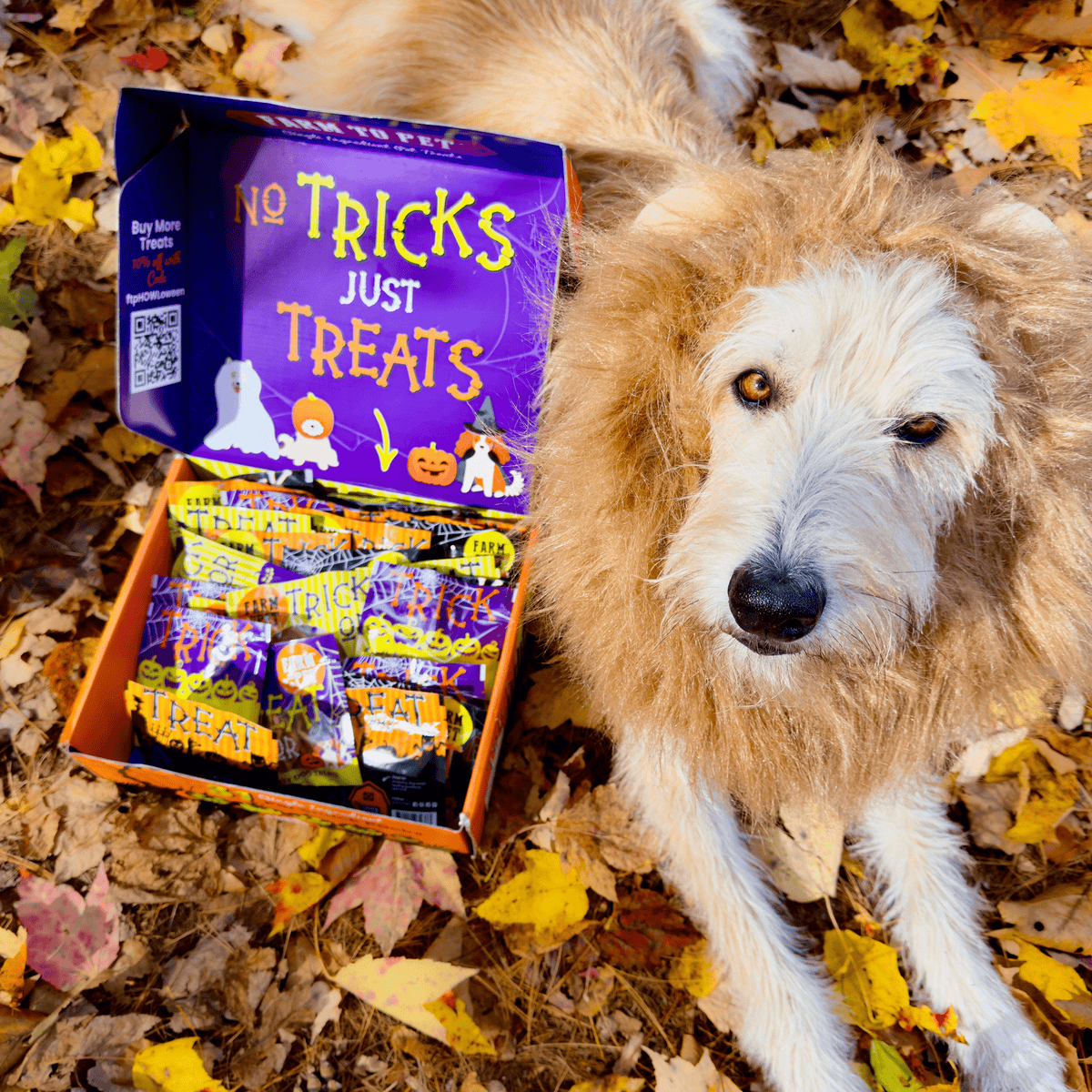 Halloween Dog Treat Box product image 8