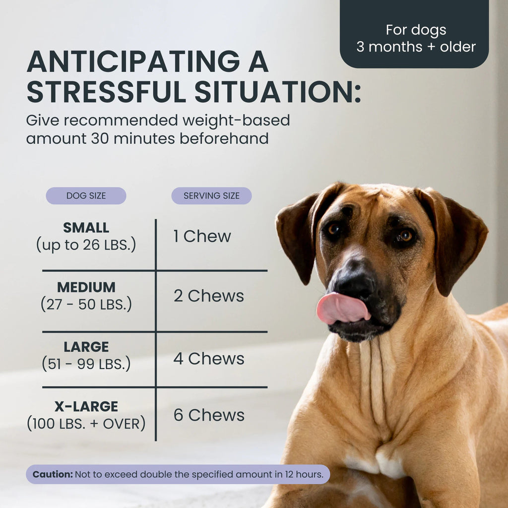Calming Dog Supplement product image 8