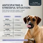 Calming Dog Supplement product image 8