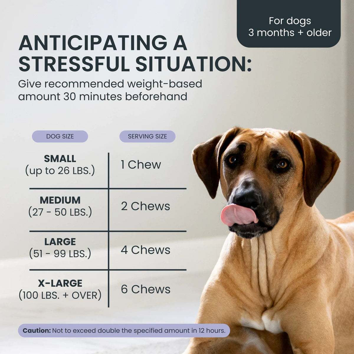 Calming Dog Supplement product image 8