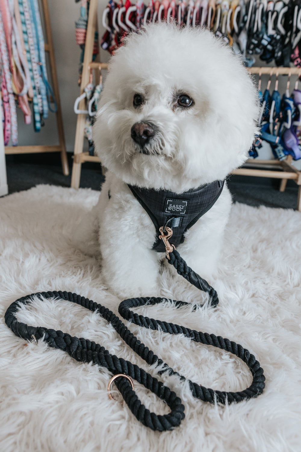 Adjustable Dog Harness product image 8
