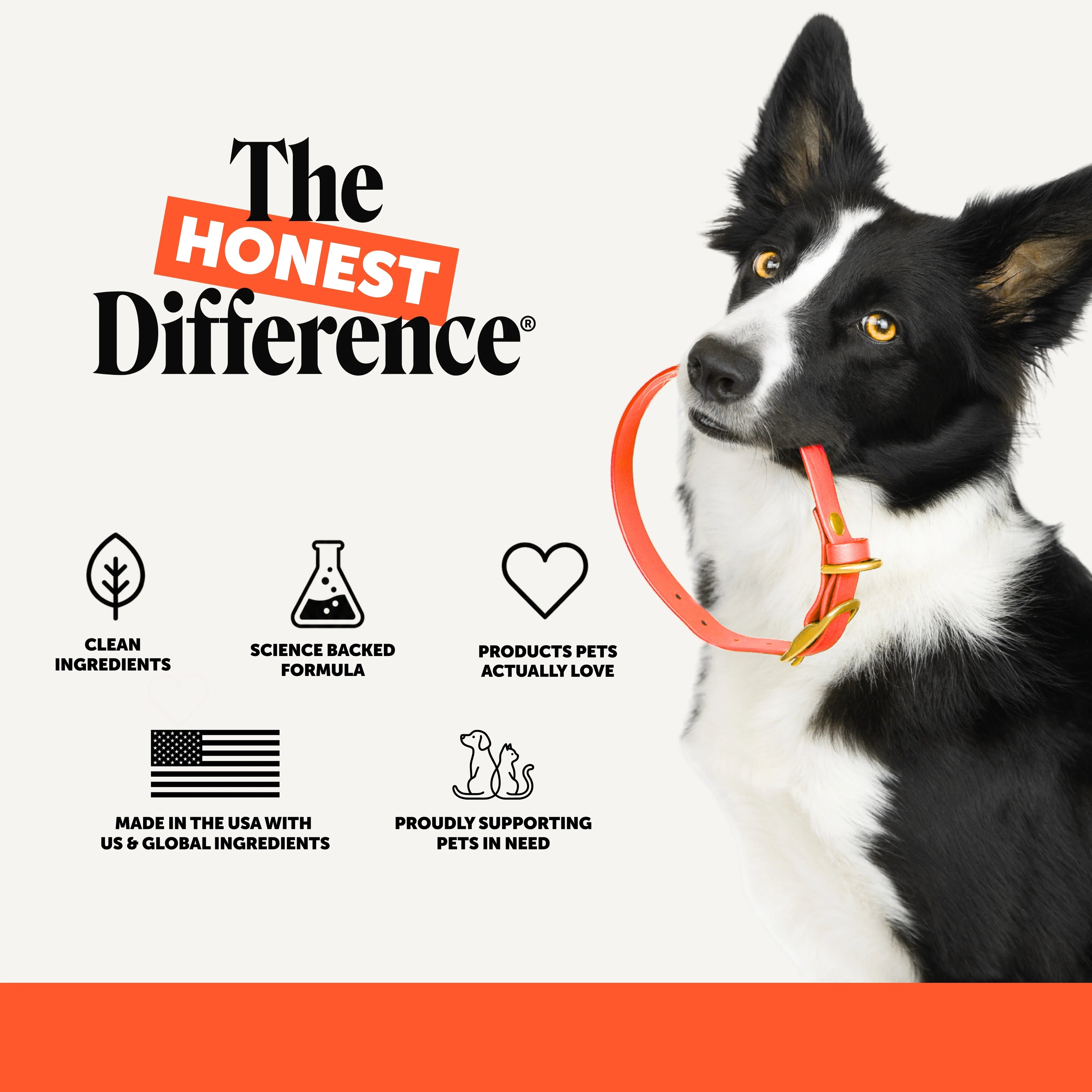 Pet Supplements product image 8