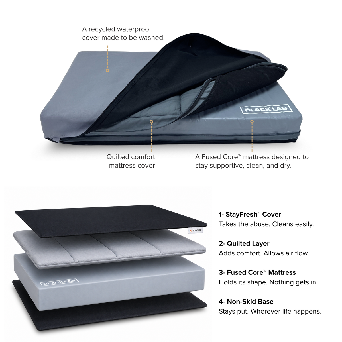 Orthopedic Dog Bed product image 8