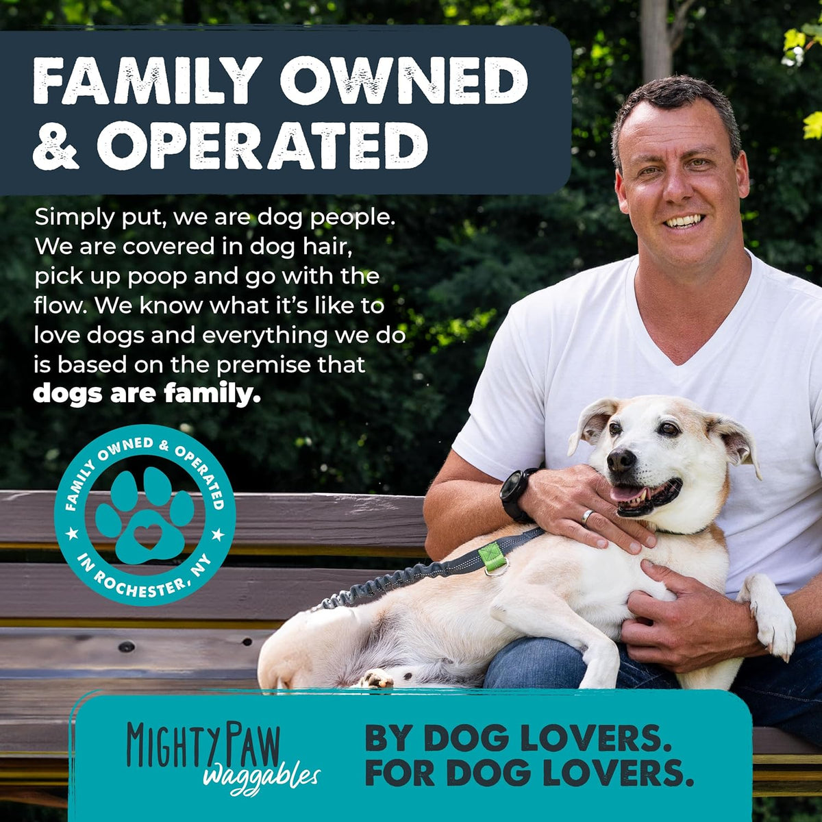 Dog Allergy & Immune Support Chew product image 8