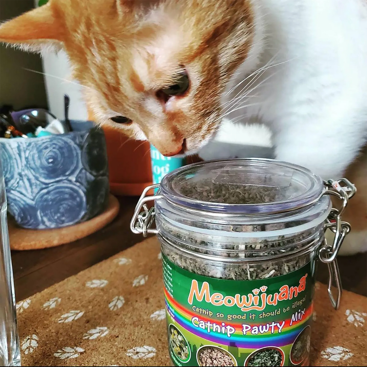 Catnip Mix product image 8