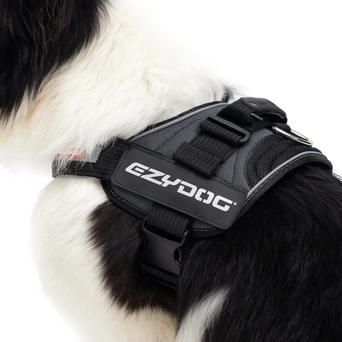Dog Harness product image 8