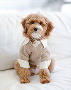 Dog Sweater product image 8