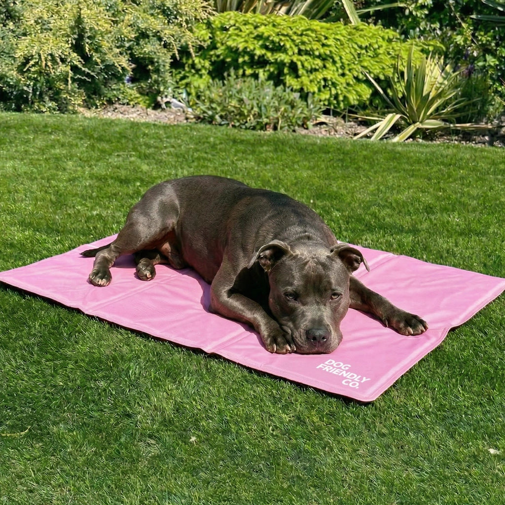 Dog Cooling Mat product image 8