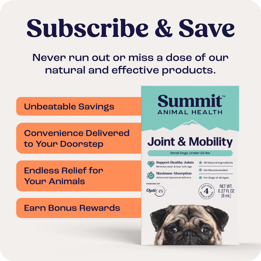 Dog Joint Supplement product image 8