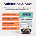 Dog Joint Supplement product image 8