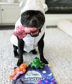 Dog Chew Toy Collection product image 8