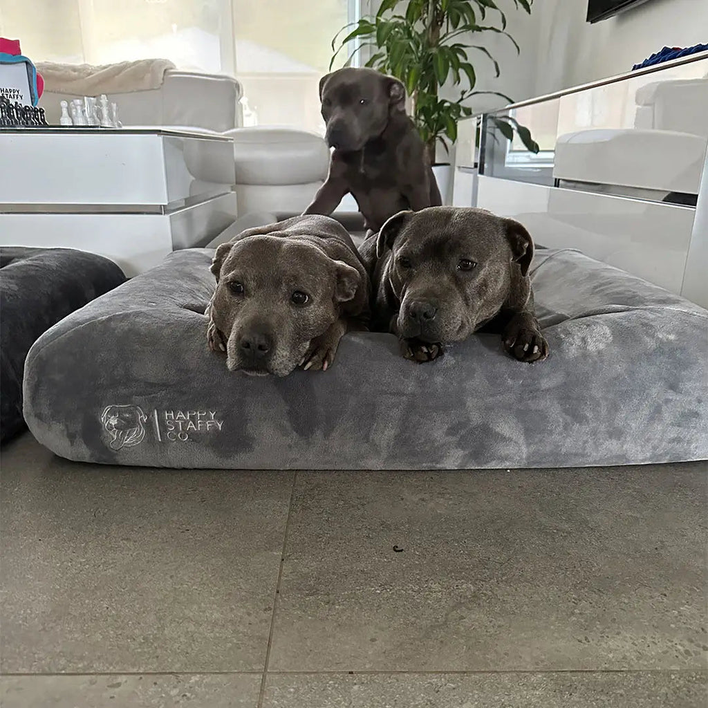 Dog Bed Cover product image 8