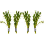 Aquatic Plants product image 8