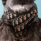 Dog Harness Set product image 8