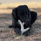 Nylon Dog Chew Toy product image 8
