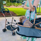 Detachable Carrier Pet Stroller product image 8