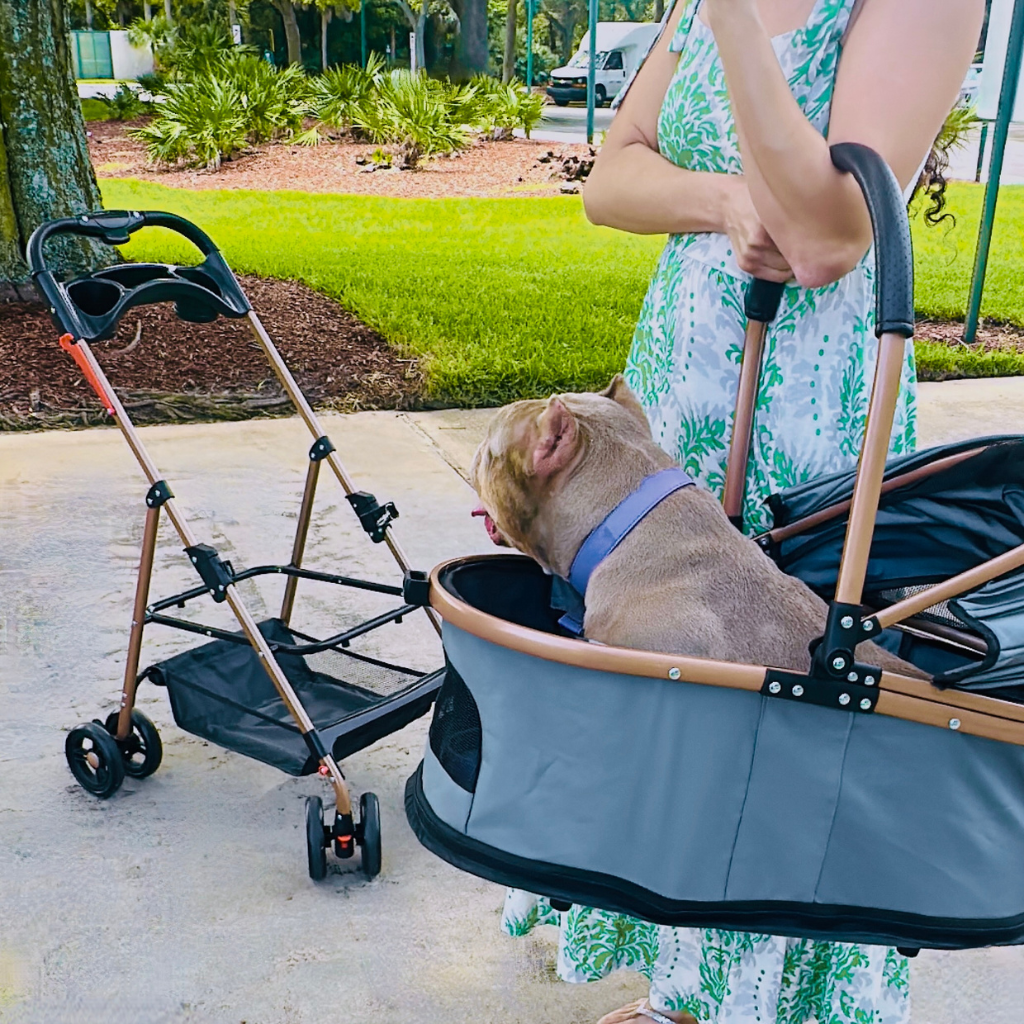 Detachable Carrier Pet Stroller product image 8