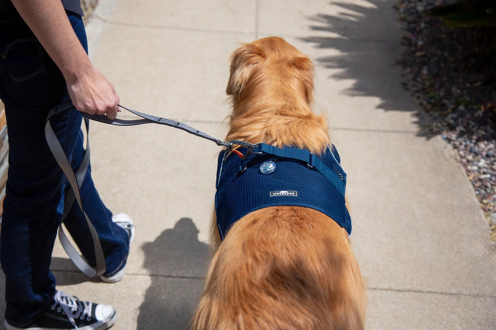 Dog Harness product image 8