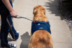 Dog Harness product image 8