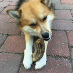 Large Lamb Horn Dog Chew product image 8