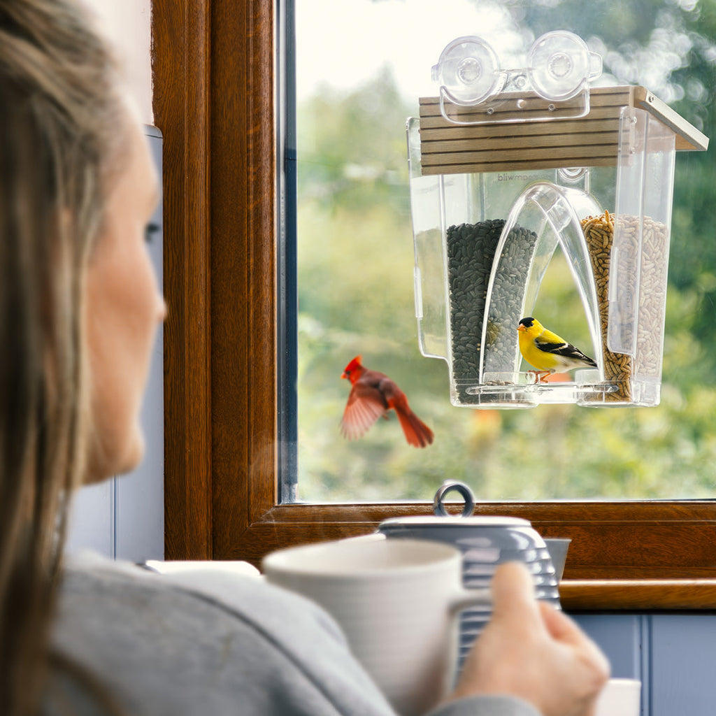 Window Bird Feeder product image 6
