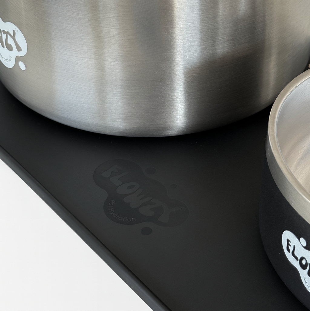 Dog Feeding Station product image 8