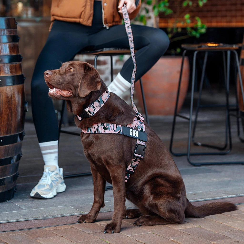 No-Pull Dog Harness and Leash Bundle product image 8