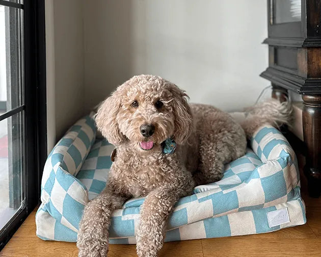 Orthopedic Dog Bed product image 8