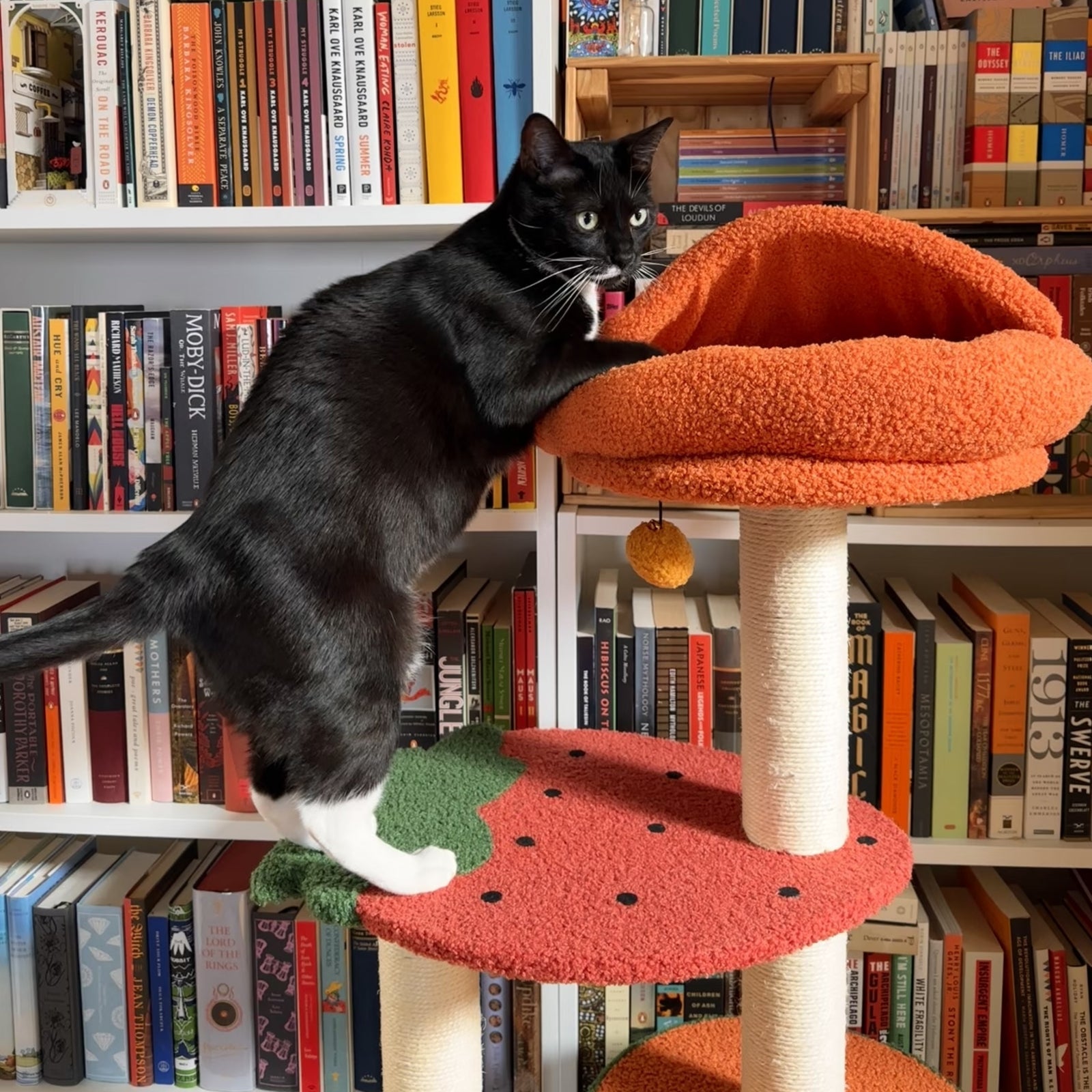 Fruit-Themed Cat Tree product image 7