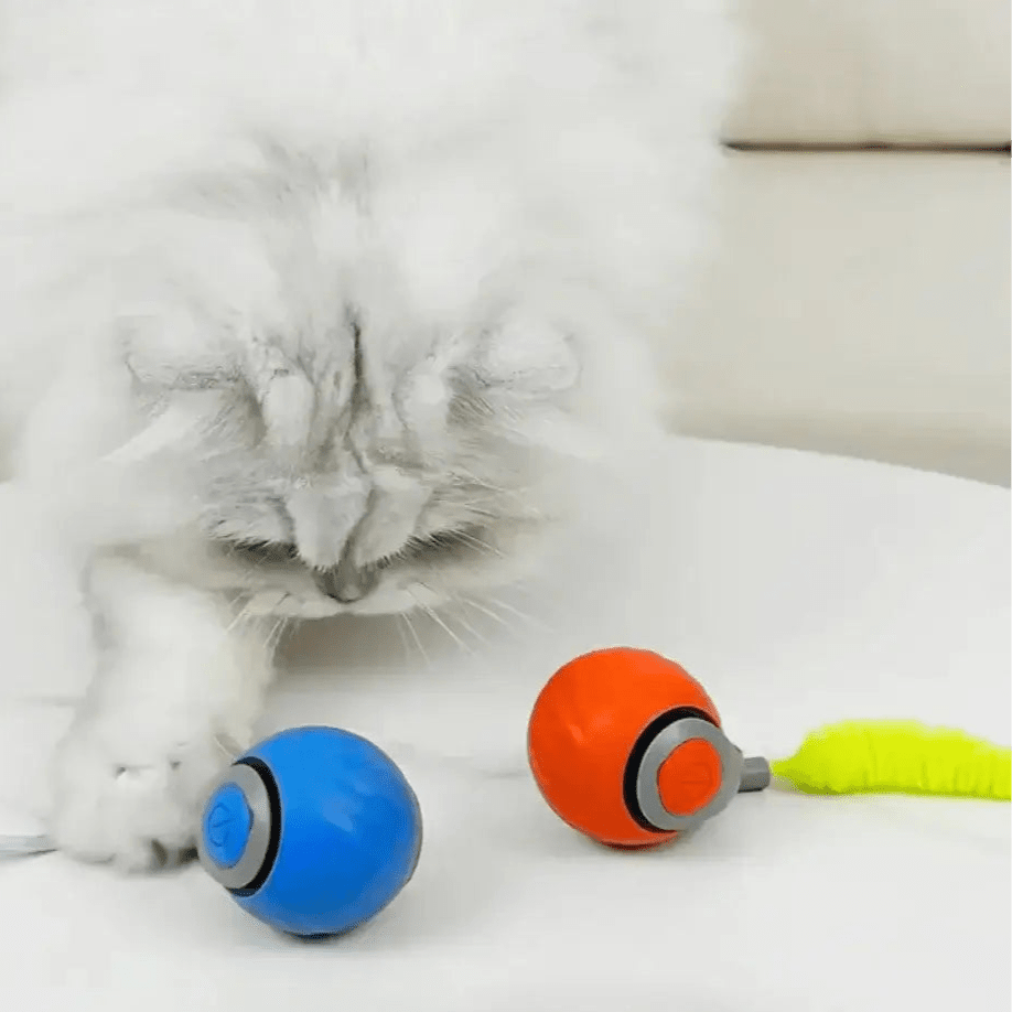 Interactive Cat Toy product image 8