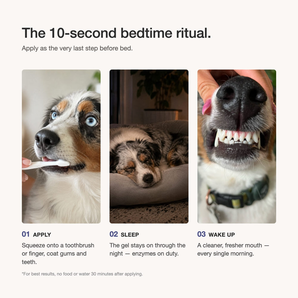 Dog Dental Gel product image 8