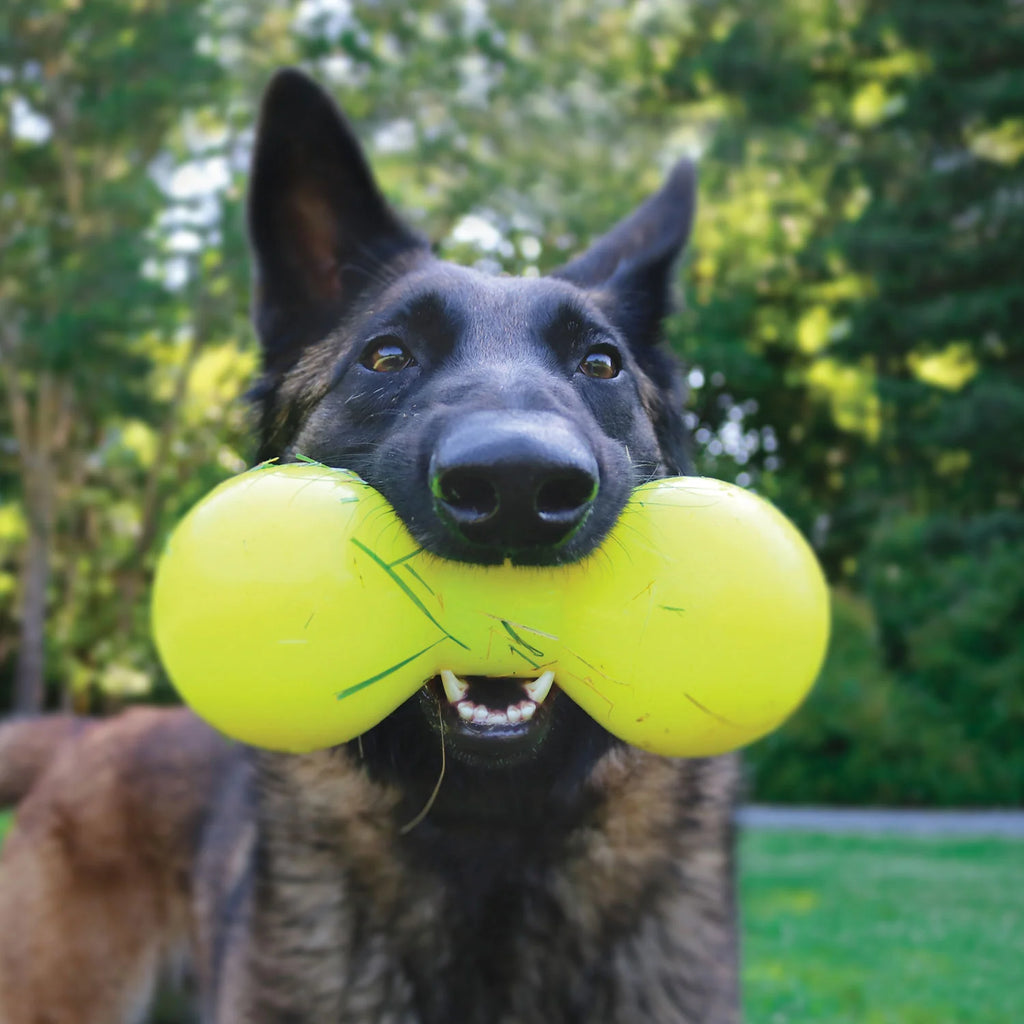 Rubber Dog Chew Toy product image 8