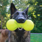 Rubber Dog Chew Toy product image 8