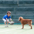 Dog Soccer Ball product image 8