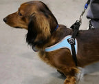Pet Harness product image 8