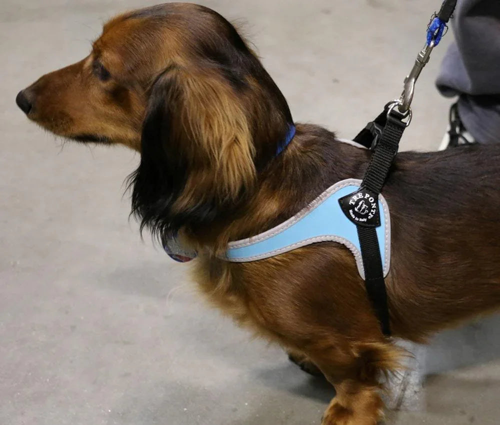 Pet Harness product image 8