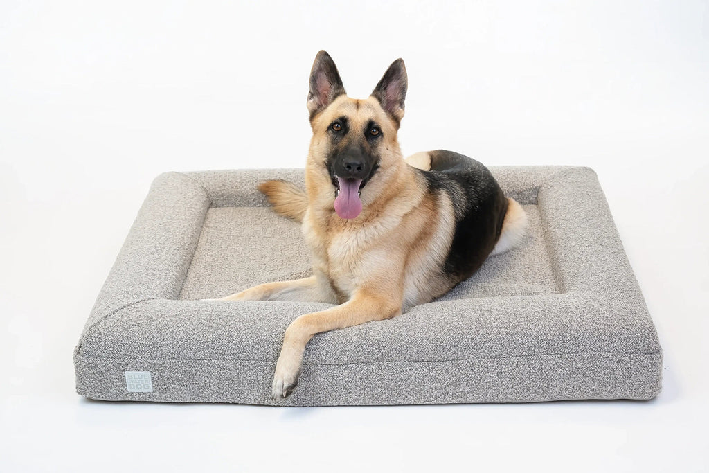 Large Boucle Orthopedic Bolster Dog Bed product image 6