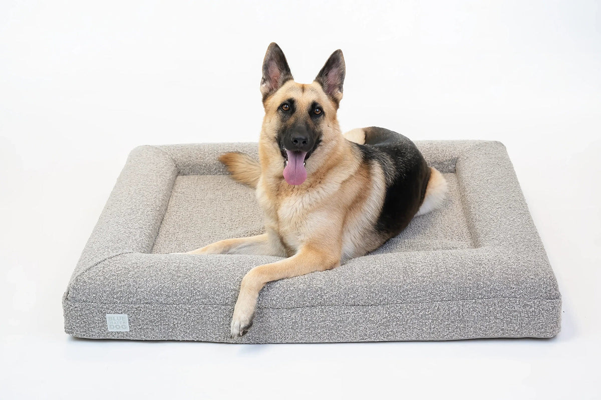 Large Boucle Orthopedic Bolster Dog Bed product image 6