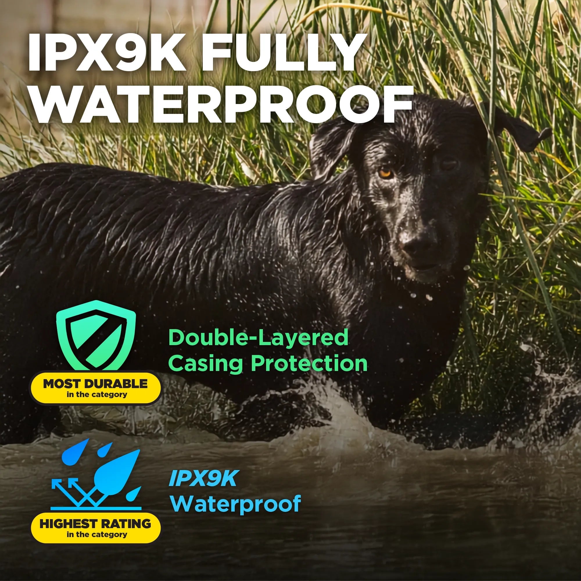 Remote Dog Training Collar product image 8