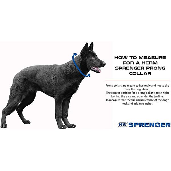 Stainless Steel Prong Training Collar product image 8