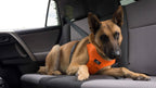 Dog Car Harness product image 8
