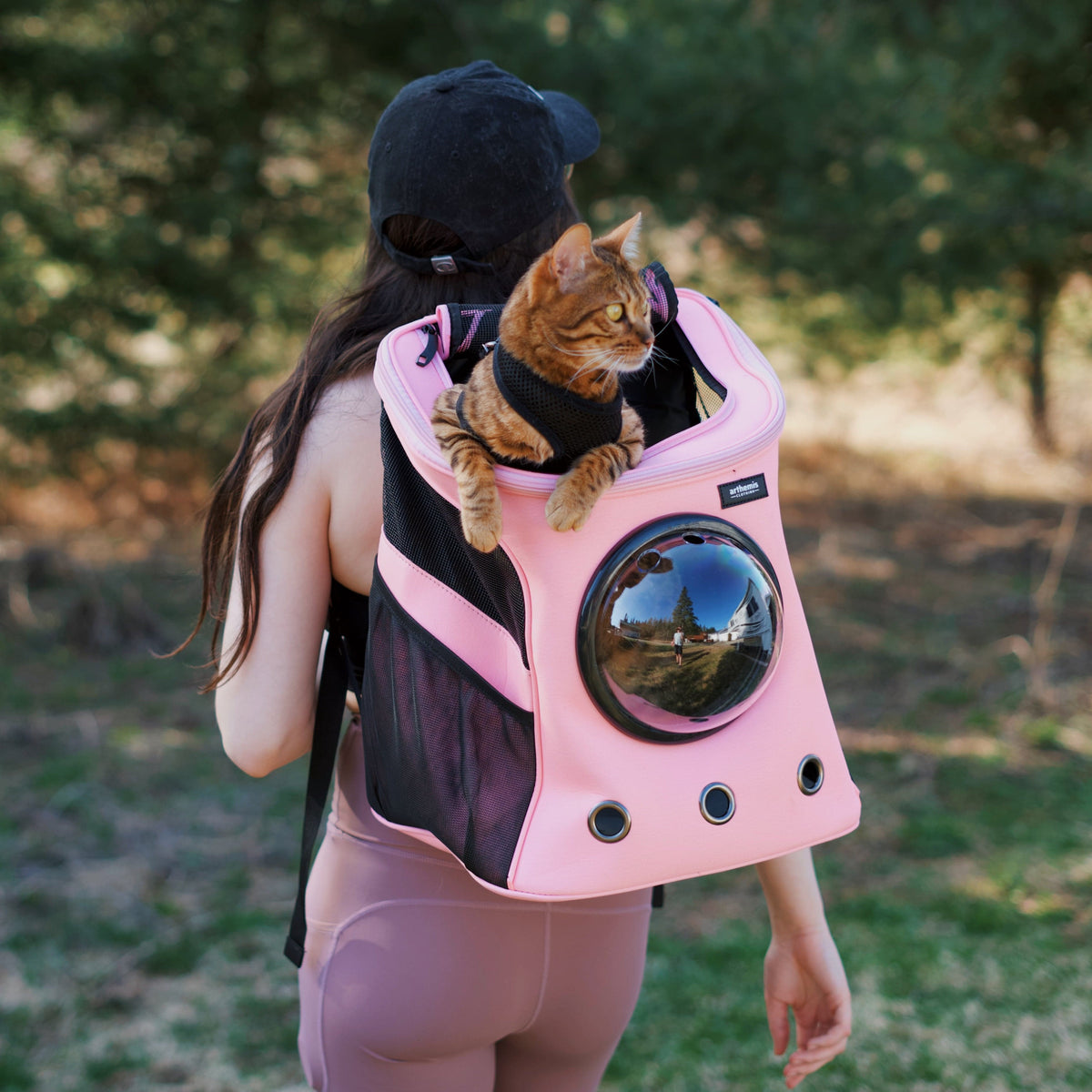 Large Pet Backpack Carrier product image 8