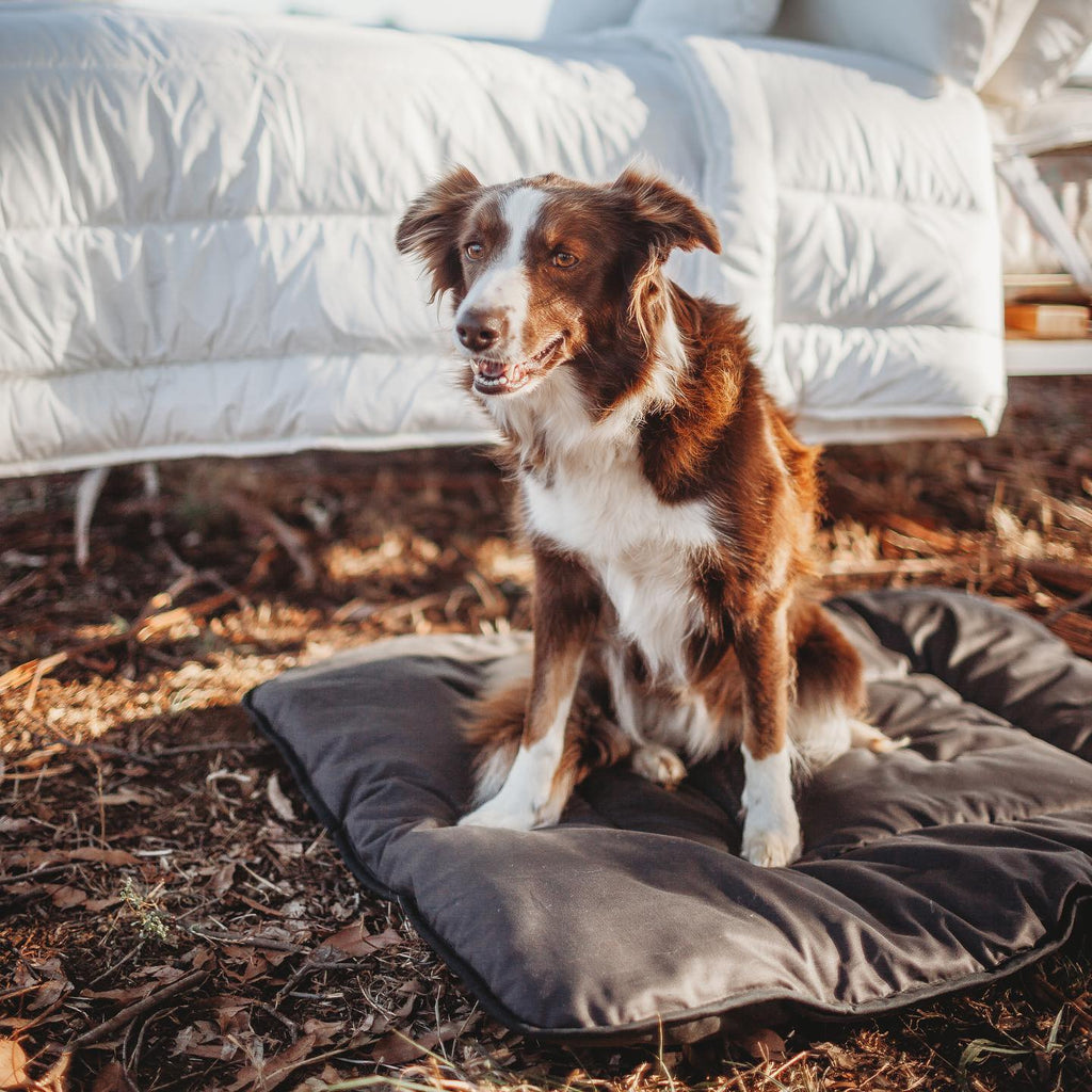 Wool Pet Bed product image 8
