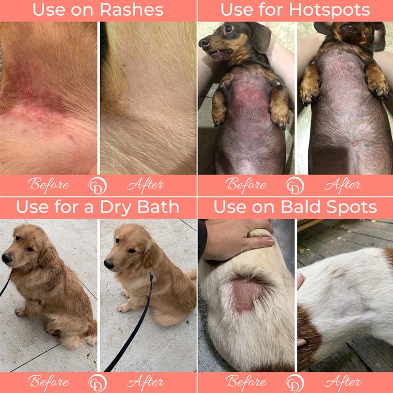 Dog Skin and Coat Care Bundle product image 8