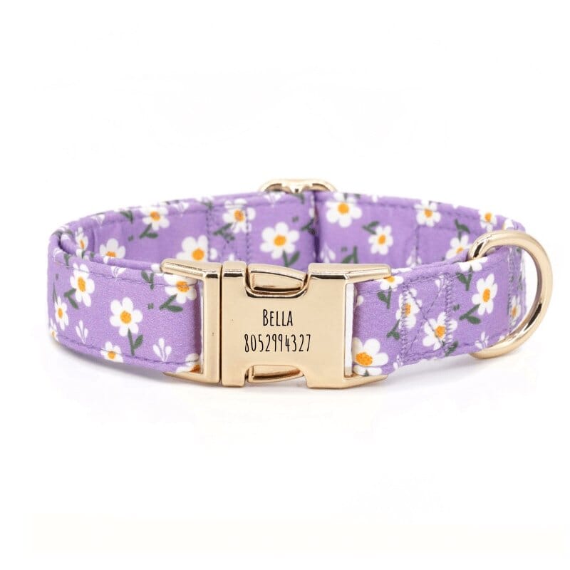 Dog Collar product image 8