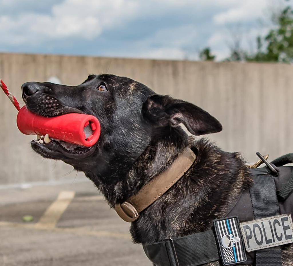 Dog Training Dummy product image 8