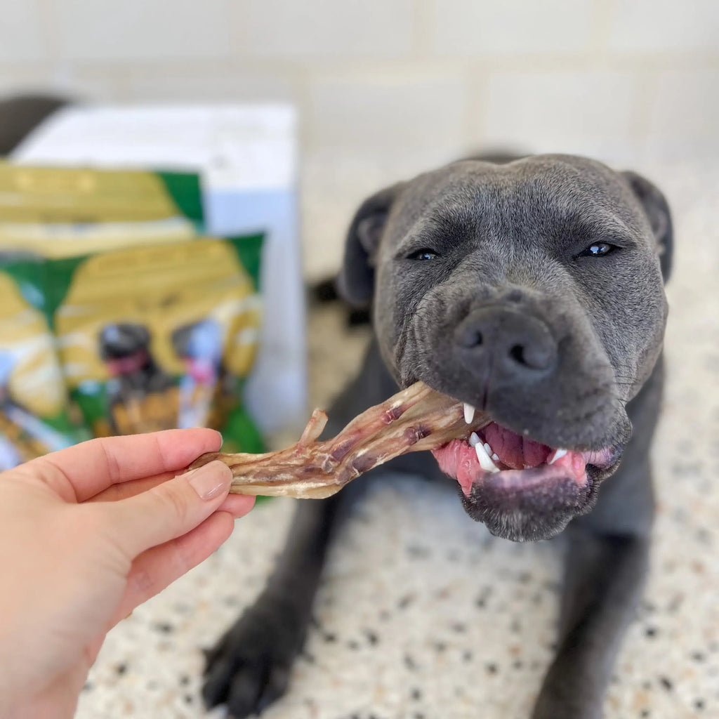 Natural Dog Treat Bundle product image 8