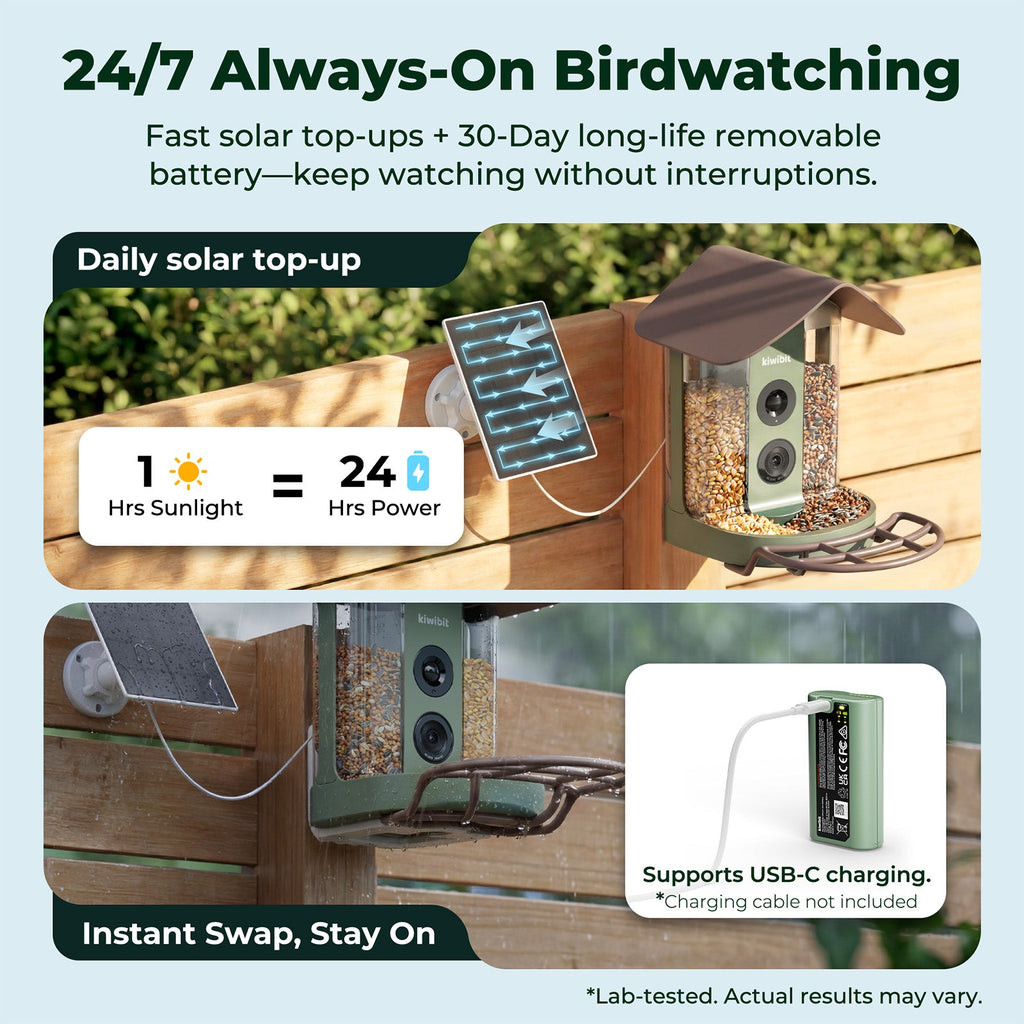 Smart Bird Feeder product image 8